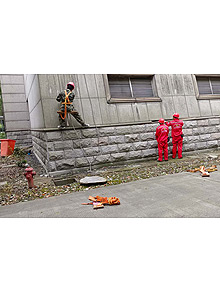 ��������汣��